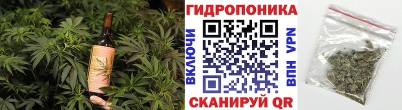 Canna-Cookies конопля Кондопога