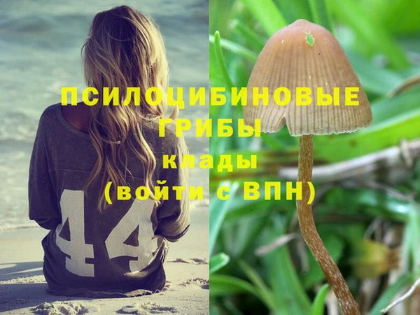 мяу мяу мука Балахна
