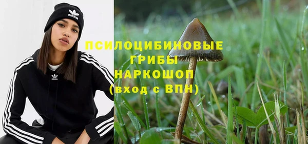 ПСИЛОЦИБИНОВЫЕ ГРИБЫ Россошь