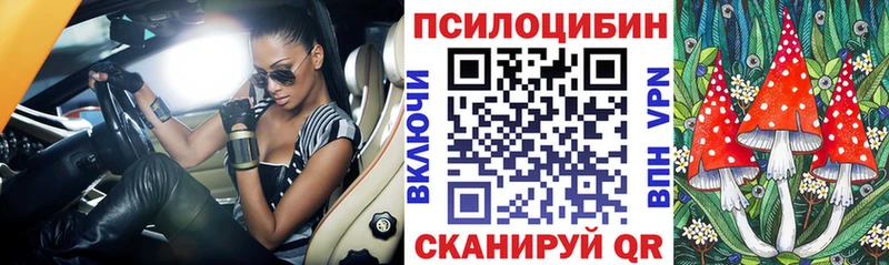 Псилоцибиновые грибы мицелий Кондопога