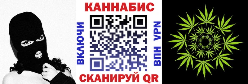 МАРИХУАНА сатива Кондопога